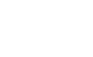 بیوگرافی روزنه باز